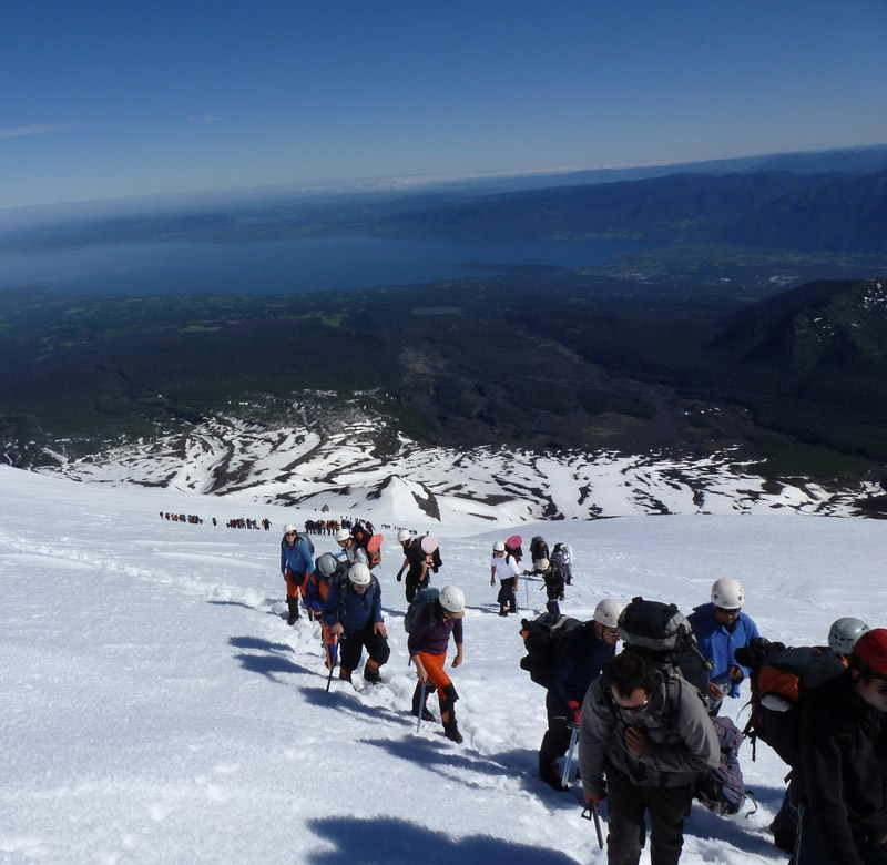 Snow Field